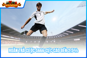 Hoàn Trả Cược S666 Cực Cao Đến 2.5% Không Giới Hạn
