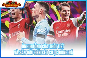 Ảnh Hưởng Thời Tiết Và Sân Đấu Đến Kèo Cược Bóng Đá