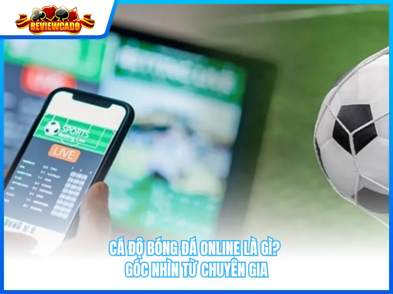 Cá Độ Bóng Đá Online Là Gì? Góc Nhìn Từ Chuyên Gia
