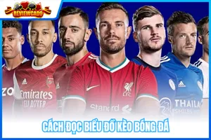 Cách Đọc Biểu Đồ Kèo Bóng Đá Và Xu Hướng Thị Trường