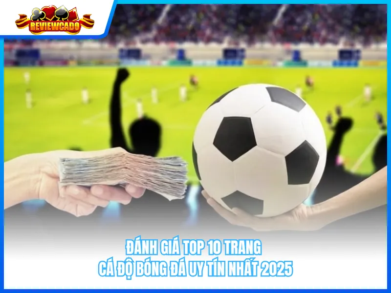 Đánh Giá Top 10 Trang Cá Độ Bóng Đá Uy Tín Nhất 2025