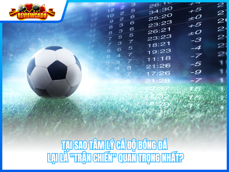 Tại Sao Tâm Lý Cá Độ Bóng Đá Lại Là "Trận Chiến" Quan Trọng Nhất?