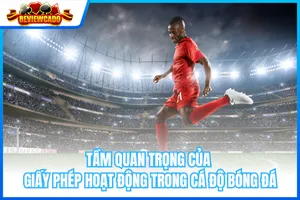 Tầm Quan Trọng Của Giấy Phép Hoạt Động Trong Cá Độ Bóng Đá
